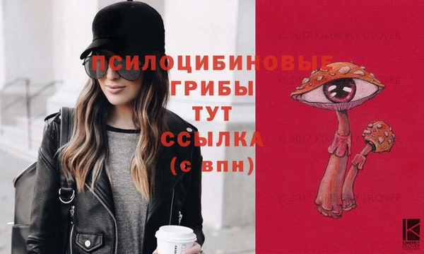 герыч Белокуриха