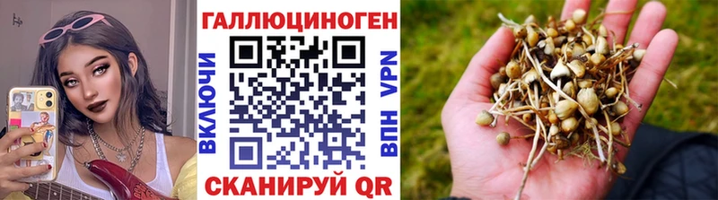 ОМГ ОМГ tor  Кстово  Псилоцибиновые грибы Psilocybe 